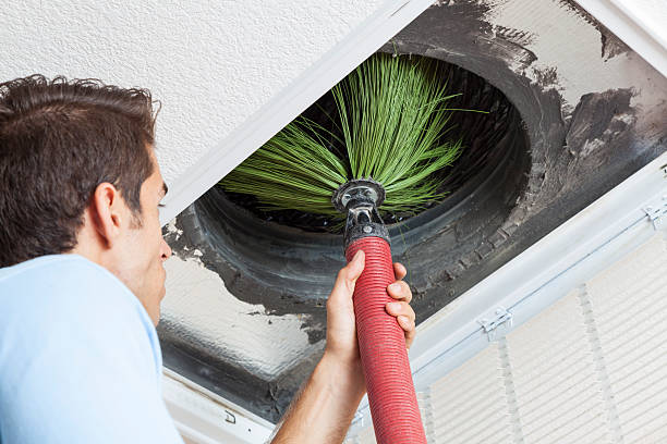 Best Air Duct Cleaning Near Me  in Bowman, ND